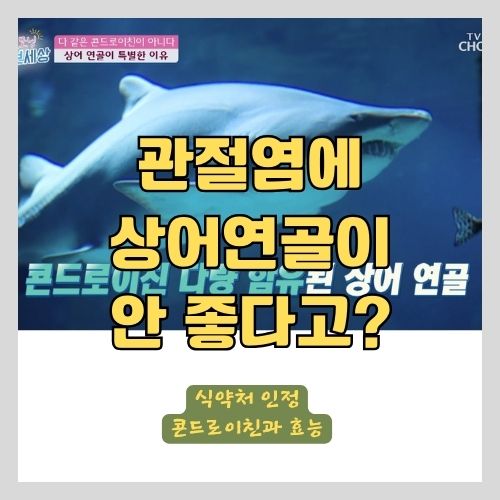 퇴행성 관절염에 좋은 콘드로이친이 상어연골이 아니라고? 썸네일