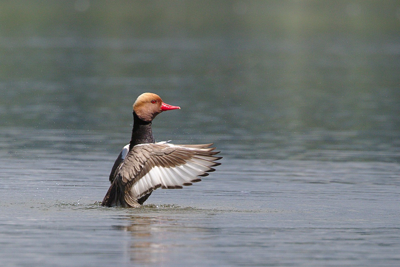 보청기 국가보조금 지원