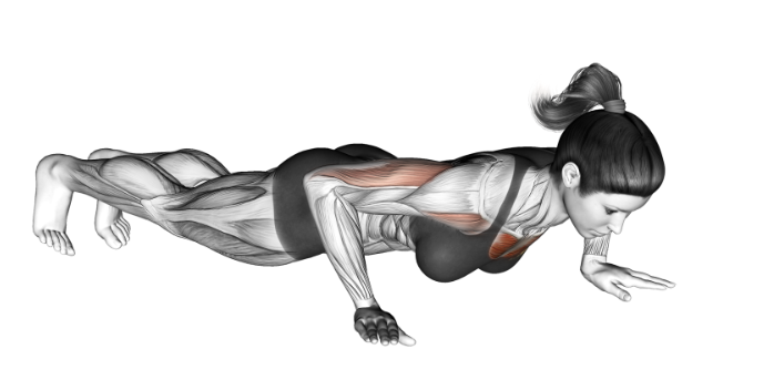 팔굽혀펴기 효과