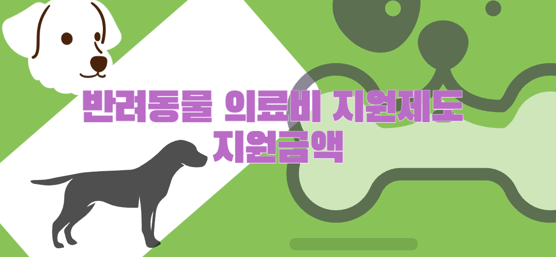 지원금액 안내
