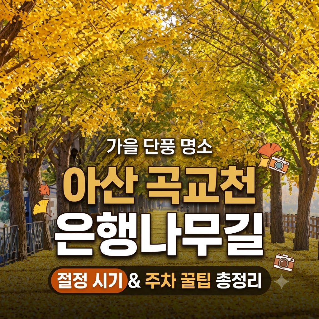 아산 곡교천 은행나무길