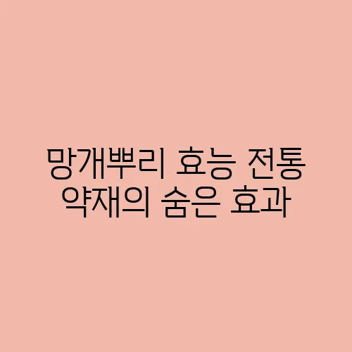 망개뿌리 효능 전통 약재의 숨은 효과