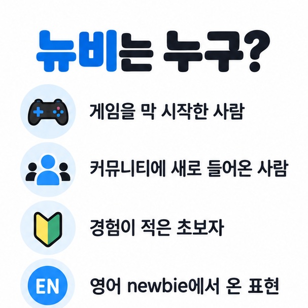 뉴비가 특정 게임이나 커뮤니티를 막 시작한 초보자를 뜻한다는 카드뉴스