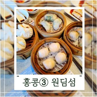 홍콩 맛집 총정리 지금 확인하고 맛있게 즐기기를 위한 팁_15