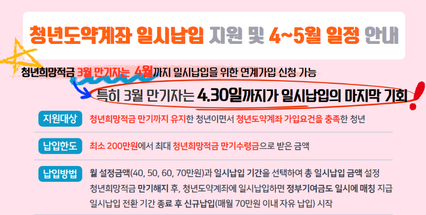 청년도약계좌 일시납입