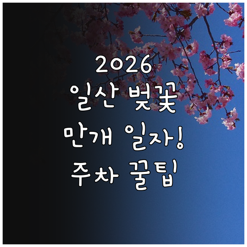 2026년 봄 일산 호수공원 벚꽃 만..