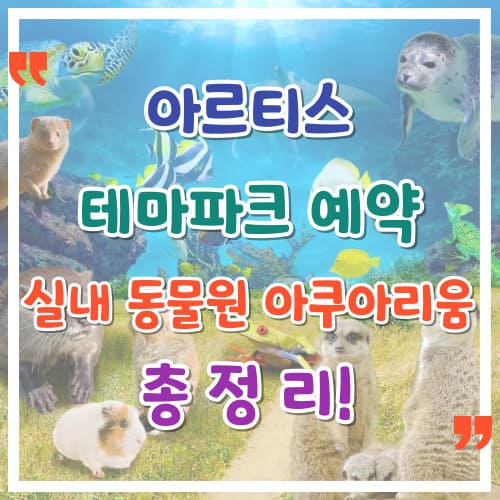 아르티스-테마파크-예약-실내-동물원-아쿠아리움-총정리