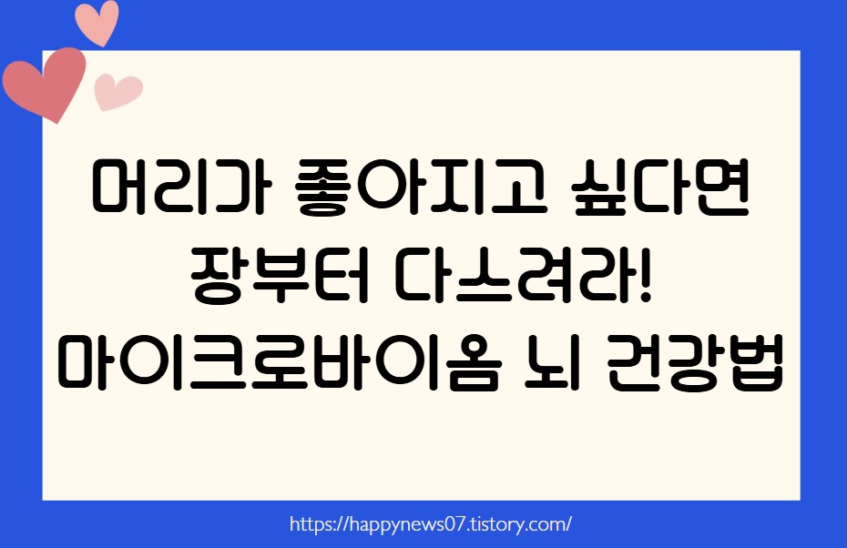 마이크로바이옴 뇌 건강법