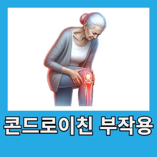 콘드로이친 부작용