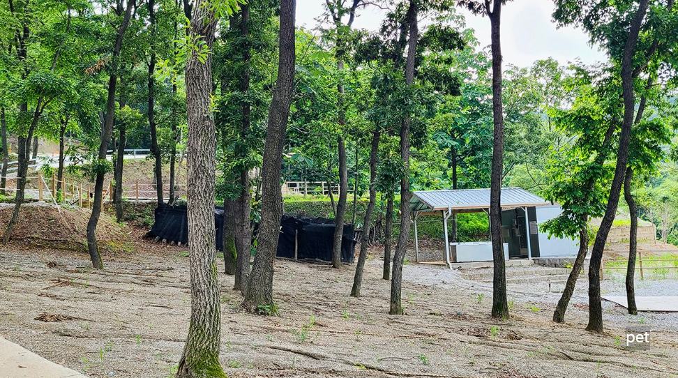 경기-인천-아르보리아-사르데냐-캠핑장-예약-방법-애견-동반-가격-주소-시간-후기