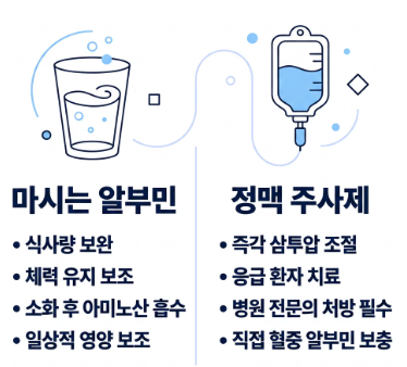 알부민의 효능