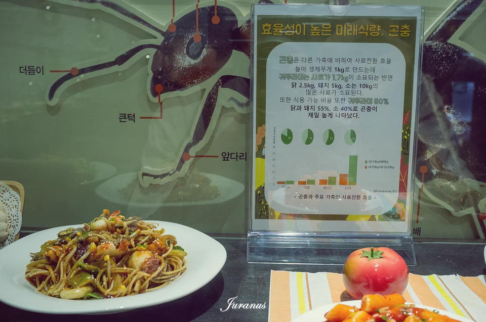 과천과학관_42