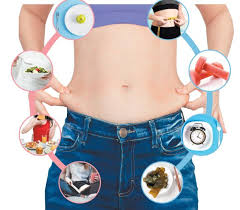 체지방률 정상범위