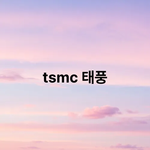 tsmc 태풍