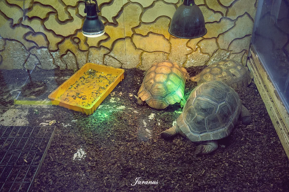 과천과학관_46
