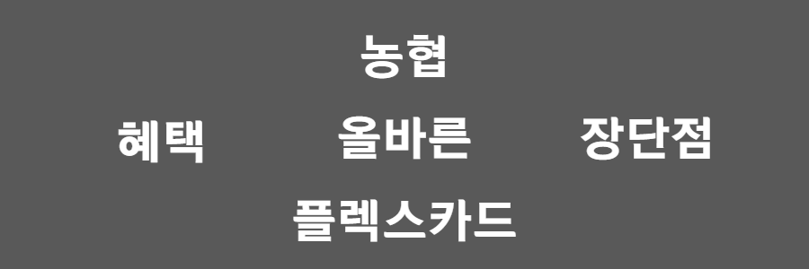농협 올바른플렉스 카드