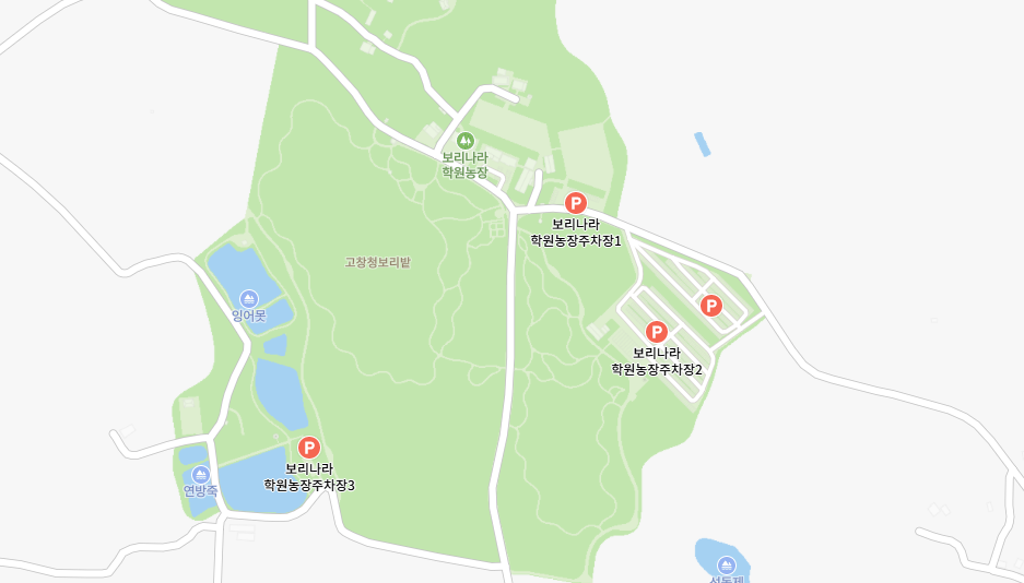 고창 청보리밭 축제 주차장