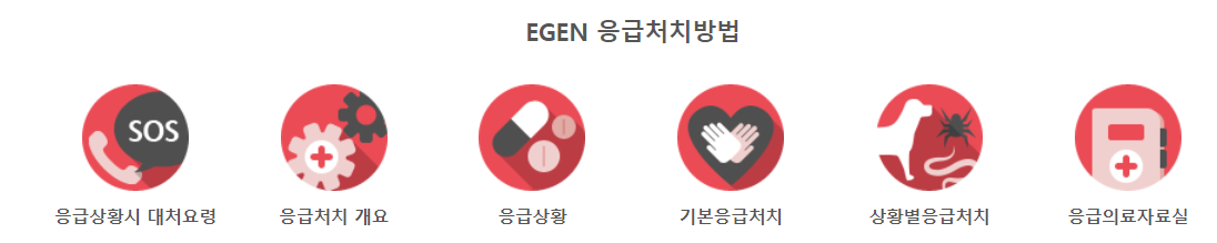 응급처치시 대처요령