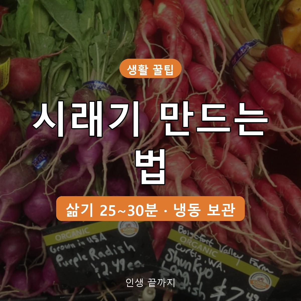 시래기 만드는 법, 무청 말리기부터 삶는 시간·냉동 보관까지