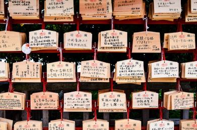 포스텔러 만세력 보는법, 해석 방법, 풀이 가이드