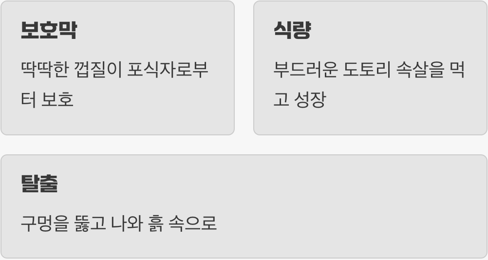 안전한 요람이자 첫 식량