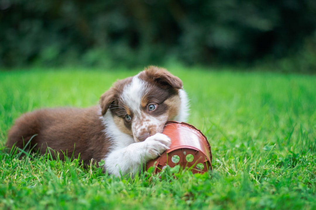 Chew.