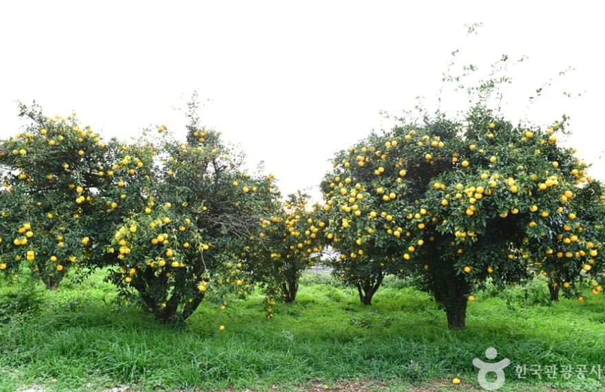 고흥 가볼만한곳 베스트 10