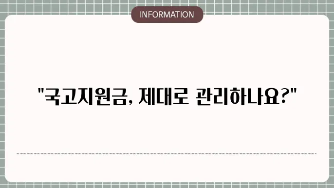 국고지원금 회계 처리: 정확한 처리 방법