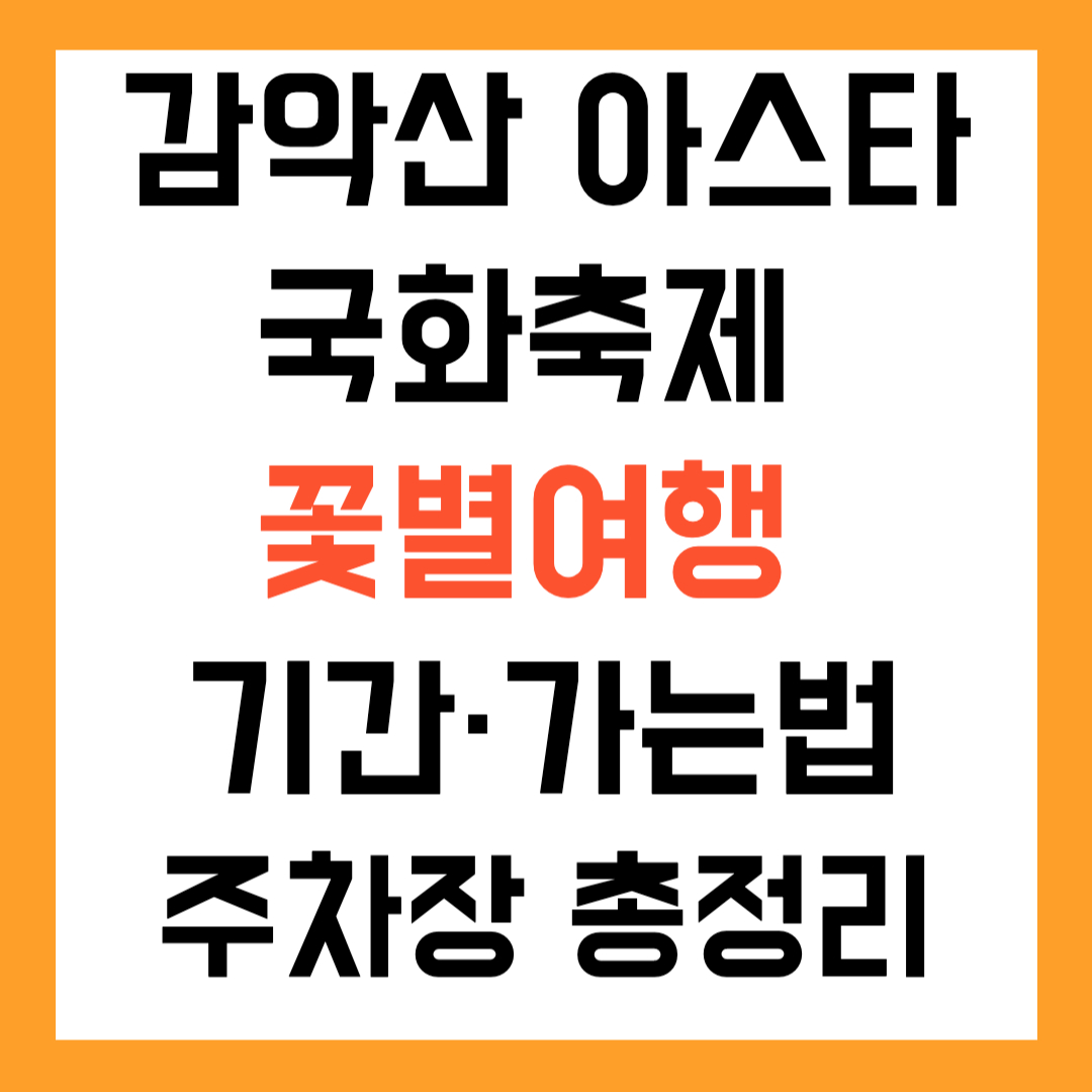 감악산 아스타국화축제 꽃별여행 기간&middot;가는법&middot;주차장 총정리