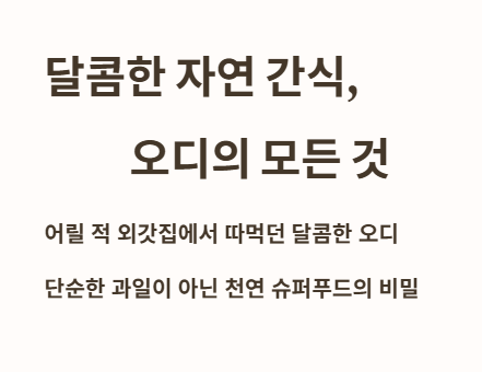 서론: 달콤한 자연 간식&amp;#44; 오디를 아시나요?