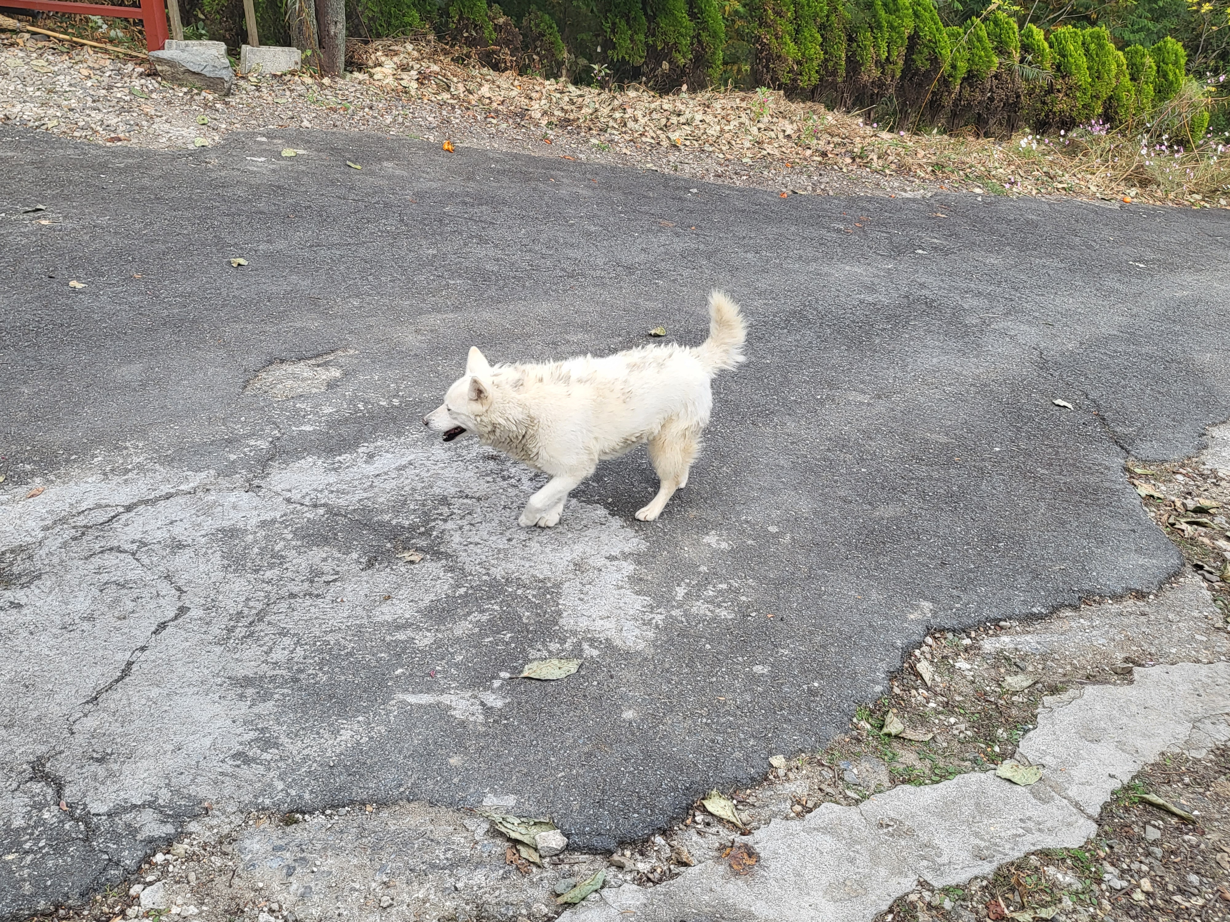 천년 고찰 장안사, 둘레 길을 따라 올라가면 운치 있는 백련암과 절벽 같은 곳의 척판암