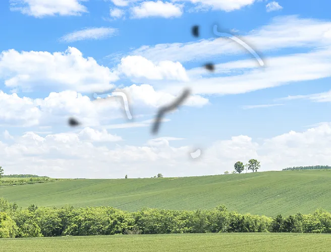 비문증-원인-날파리증- 광시증-왜-생기는-걸까?-비문증-자연치유-부터-치료-방법까지-확인하기 