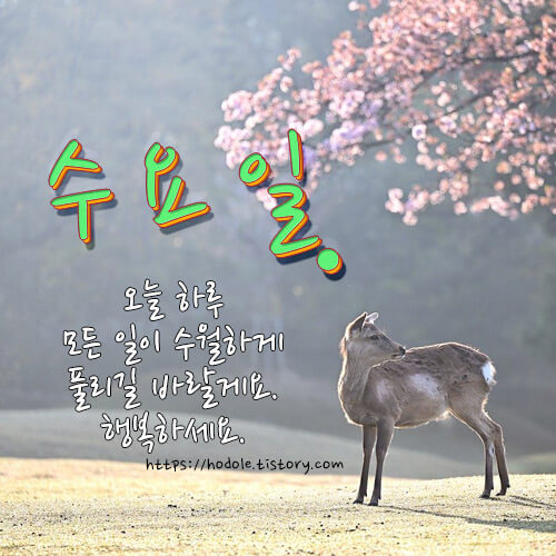 수요일-인사말-이미지