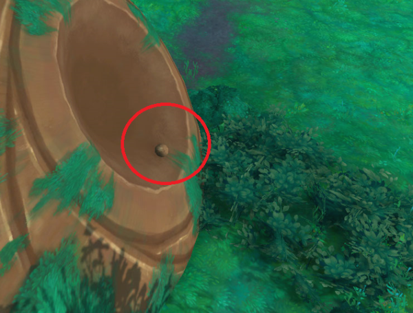 잃어버린 계란형 물체