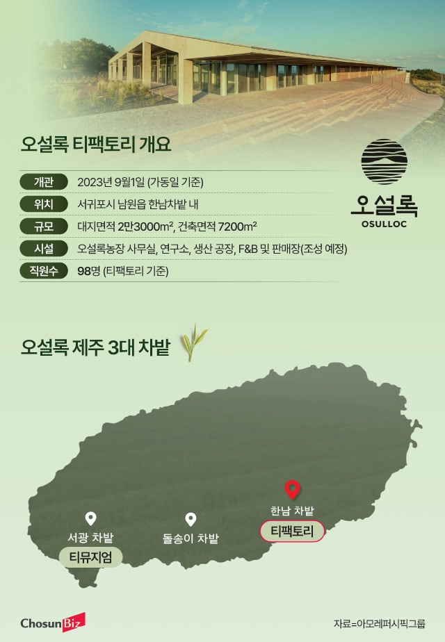 오설록 티팩토리