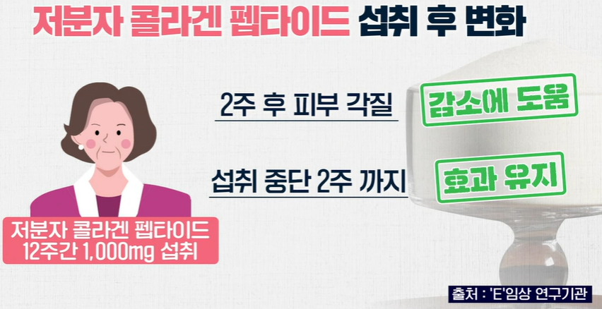 저분자 콜라겐 펩타이드 효능