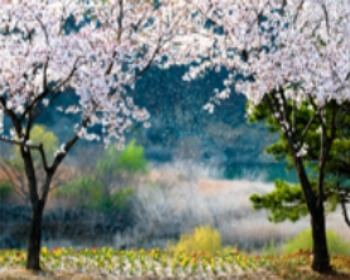 황매산 오토캠핑장_25