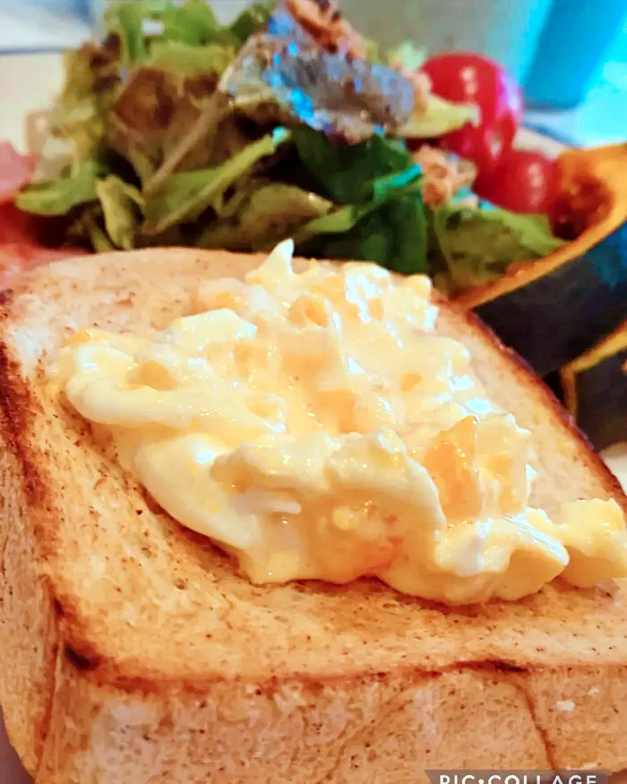 일본 시코쿠 에히메현 본점, 도쿄, 긴자, 아사쿠사 맛집 원조 소금빵