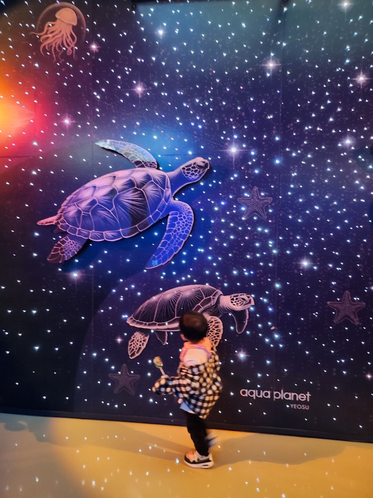 거북이 그림과 아이