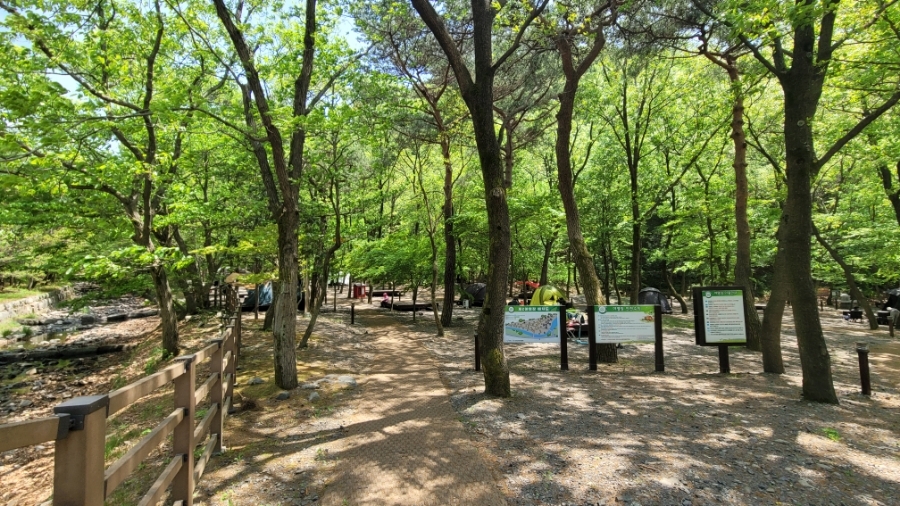 성주산자연휴양림 제2야영장