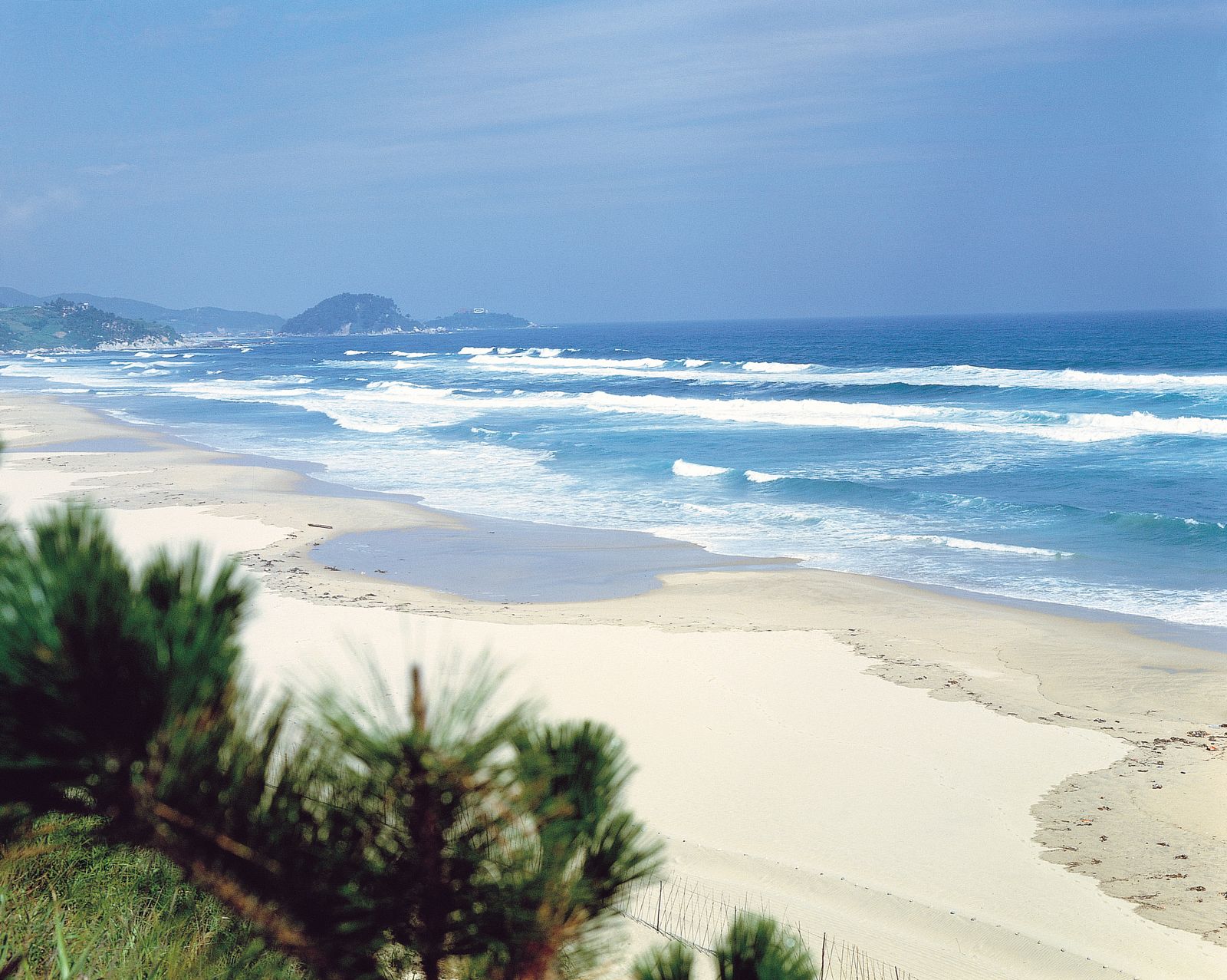 2025년 해수욕장 개장 일정 &amp; 주차장 정보 총정리