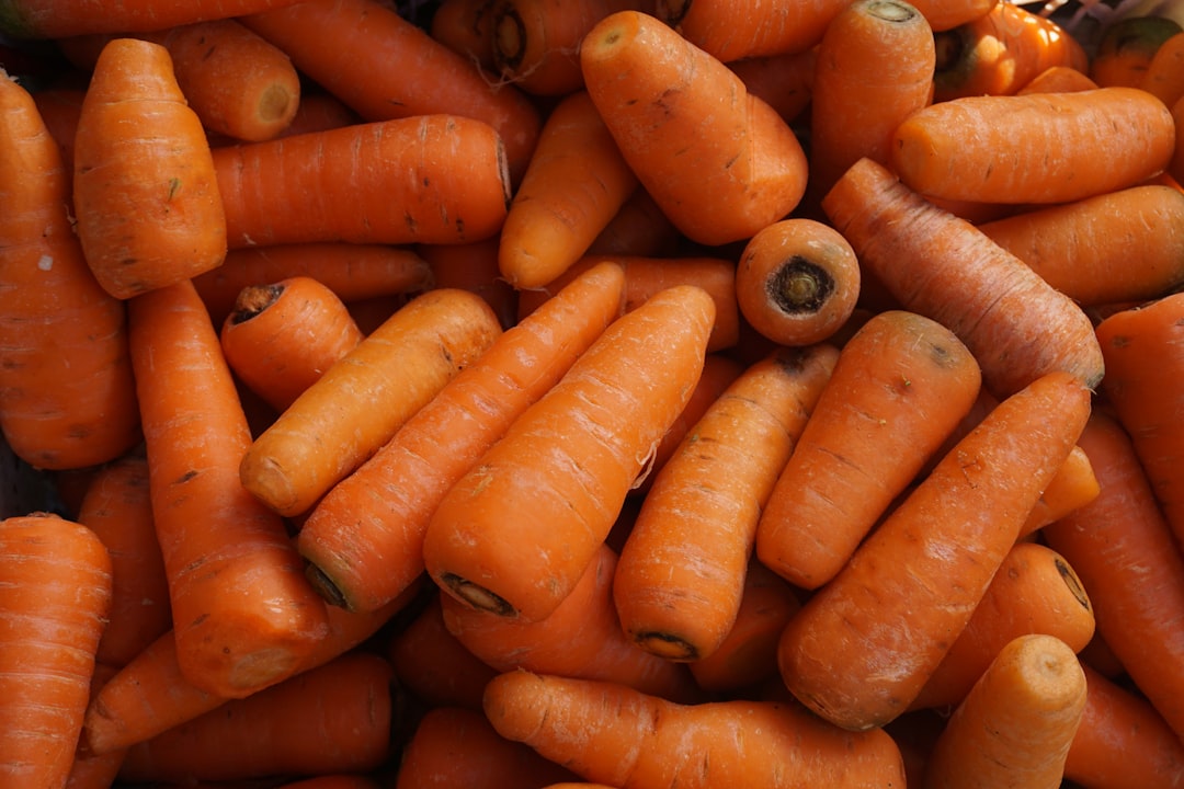Carrot