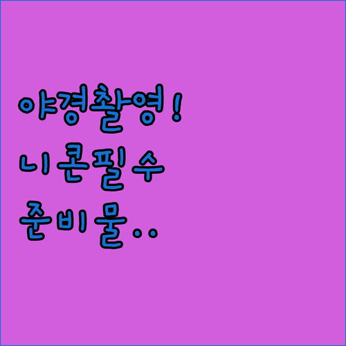 야경 촬영 필수품 니콘 유선 릴리즈와..