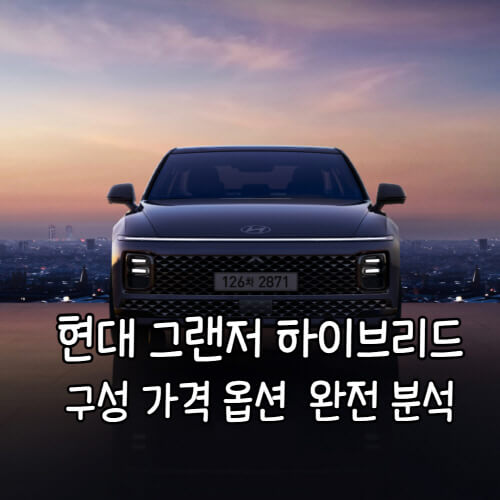 현대 그랜저 하이브리드