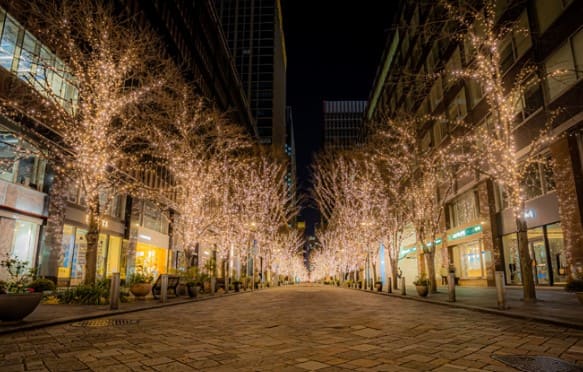 길 양옆으로 조명으로 장식된 나무들이 있다.
