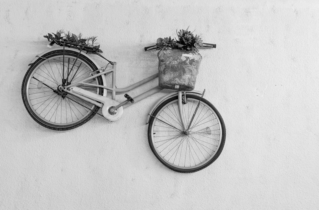 Cycle