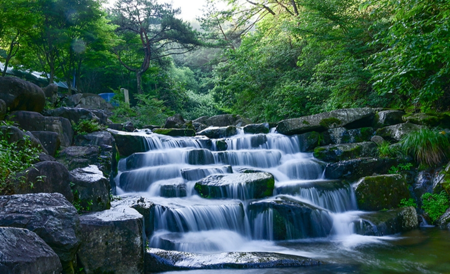 비슬산자연휴양림