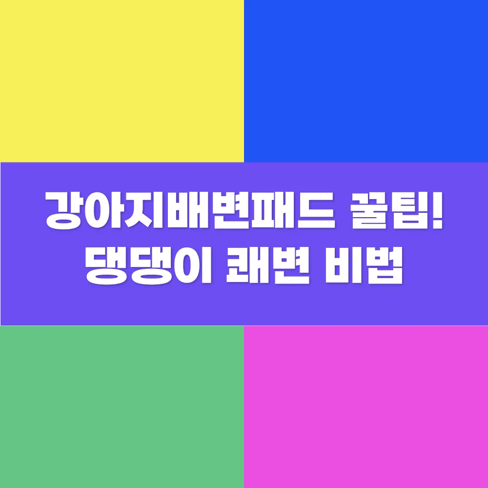 썸네일 이미지