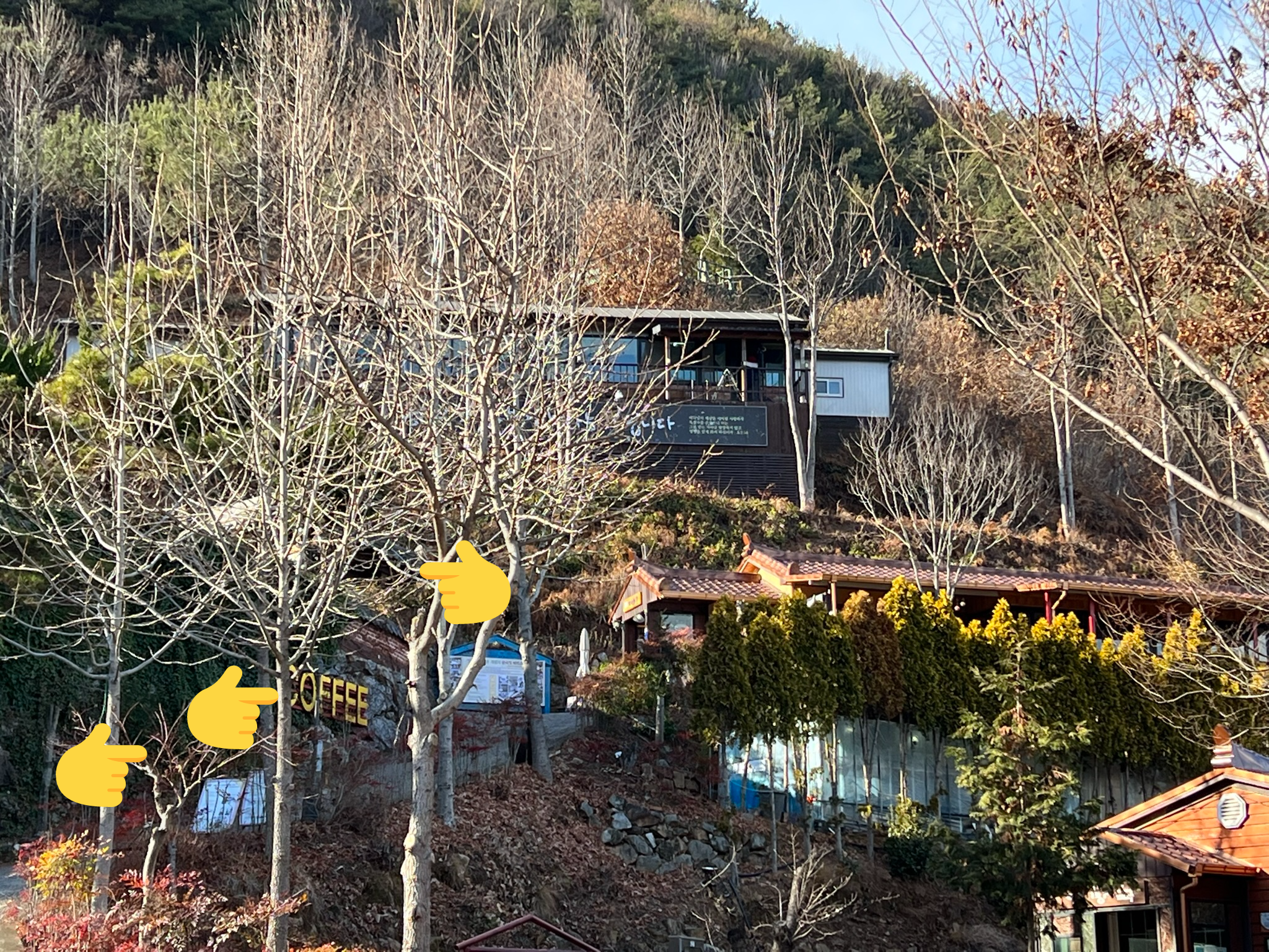 양탕국-카페-가는길