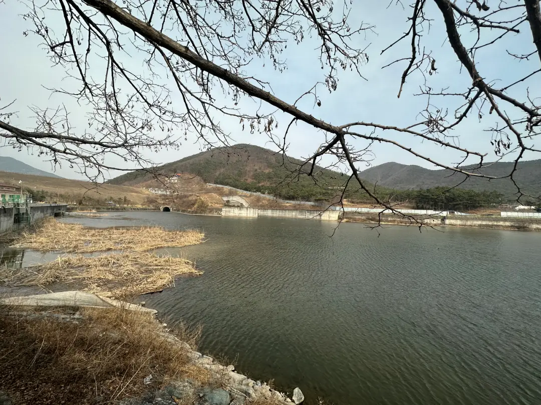 영천댐-하류공원-강변-풍경